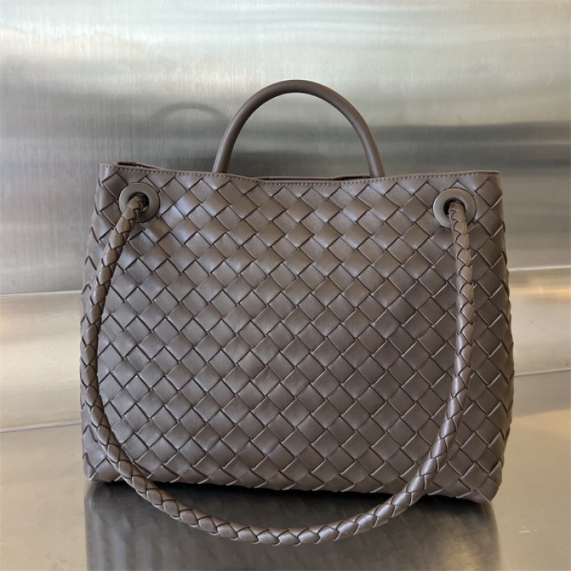 Bottega Veneta Women’s Medium Andiamo Handbag 766016Fondant