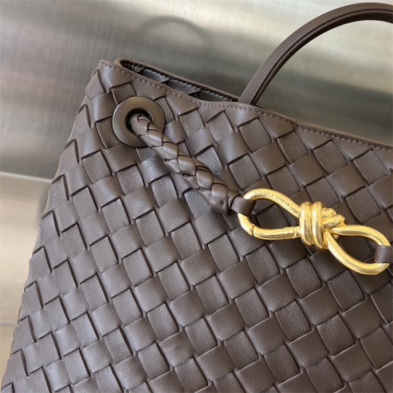 Bottega Veneta Women’s Medium Andiamo Handbag 766016Fondant