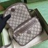 Gucci Ophidia GG mini shoulder bag in beige and ebony GG Supreme 772239 FACUJ 8745