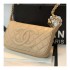 Chanel Grained Leather Hobo Bag B01960