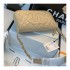 Chanel Grained Leather Hobo Bag B01960