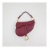 Christian Dior Smooth Calfskin Mini Saddle Bag M0447