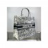 Dior Book Tote in Latte Multicolor Zodiac Embroidery M1286