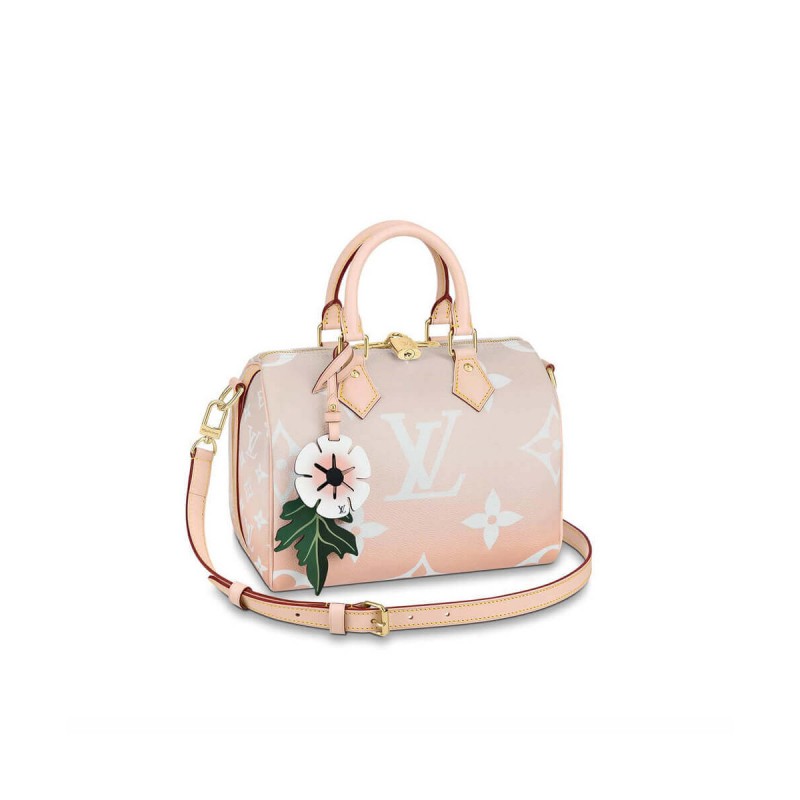 Louis Vuitton Speedy Bandouliere 25 M45722 M45724