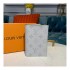 Louis Vuitton Passport Cover M60189